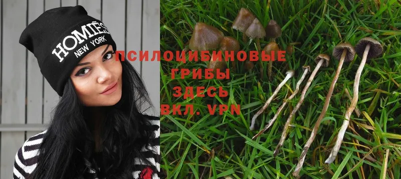 Псилоцибиновые грибы Magic Shrooms  OMG вход  Октябрьский 